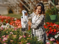 Лунный календарь для комнатных растений на март 2021