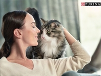 Наукове відкриття: вчені Nestl&#233; Purina® розробили інноваційний підхід для зниження рівня алергенів у котів