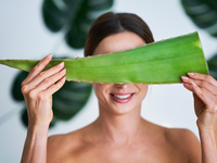 Как использовать алоэ в уходе за кожей