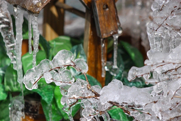 Запреты дня 20 марта 2021: Чего категорически нельзя делать на Василия-Капельника