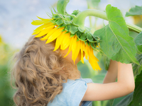 Сезонная аллергия: причины, симптомы и лечение