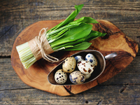 Настоящий кладезь витаминов и первая зелень, которую любят все украинцы