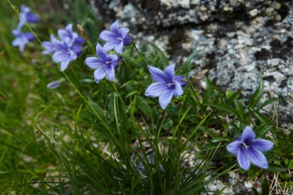 Запреты дня 30 марта 2021: Что нельзя делать на Теплого Алексея