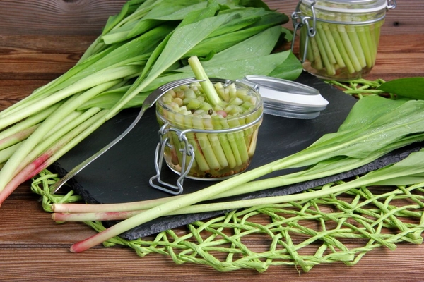 Что приготовить из весенней зелени?