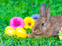 Погода на Пасху в Украине: прогноз по областям