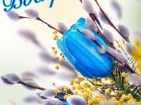 Вербное воскресенье: красивые поздравления в стихах и картинках