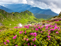 Погода на 8-10 мая в Украине: предварительный прогноз