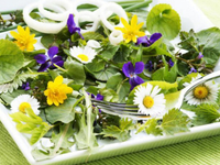 Зелень, которую мы игнорируем: 3 блюда из сорняков