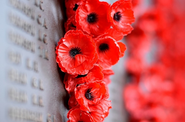 День памяти и примирения 2021: поздравления в стихах и прозе