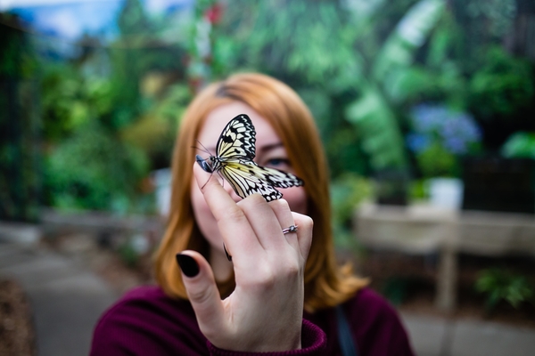 Summer comes: какие локации будут работать на ВДНГ