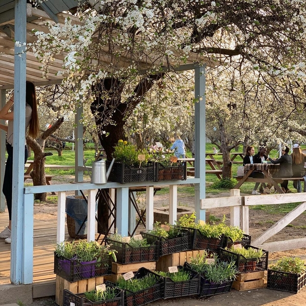 Summer comes: какие локации будут работать на ВДНГ