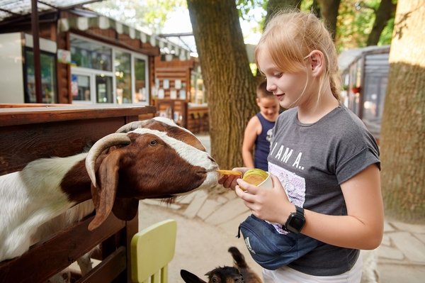 Summer comes: какие локации будут работать на ВДНГ