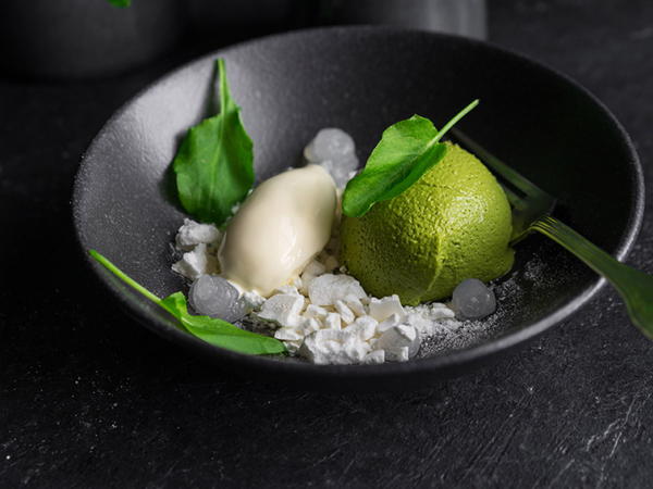 Что приготовить из щавеля: мороженное с панна-коттой