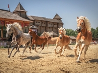 Выходные в Киевской Руси: как прошел фестиваль конных лучников