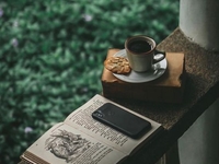 Топ-10 несложных книг на английском, которые можно почитать на даче