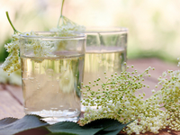 Напиток сезона: газировка из цветов бузины