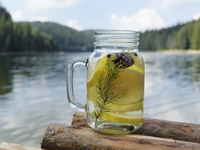 Лимонад из молодой хвои - природный энергетик