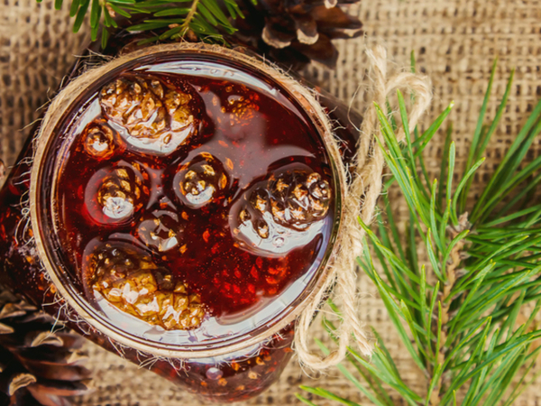 Варенье из сосновых шишек