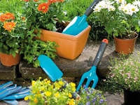 Садовые роботы в июне: что нужно успеть сделать