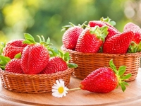 ТОП-3 лучших рецепта летних масок для лица