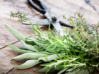 Как подготовиться к Троице: главные советы