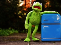 Как правильно помыть холодильник