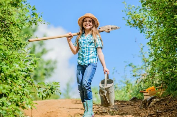 Лунный календарь огородника на июль 2021