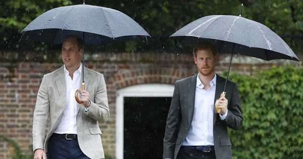 Раздор в королевской семье: Принц Уильям не хочет мириться с братом