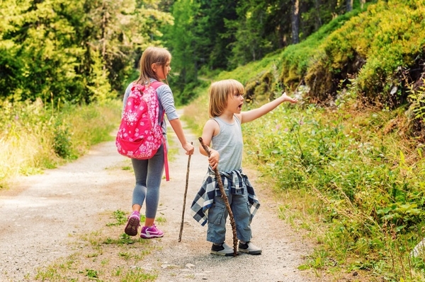Школа выживания: учим ребенка поведению в лесу