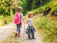 Школа выживания: учим ребенка поведению в лесу