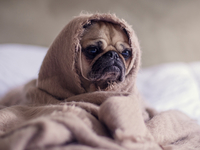 Что такое моральная усталость и как себе помочь?