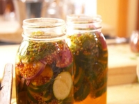 Быстрые маринованные кабачки кружочками