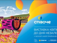 Картины из цветов: на Спивочем пройдет выставка ко Дню независимости Украины