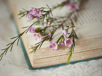 Поезії Незалежності: 6 найцікавіших авторів українського сьогодення