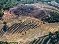 Лучшие фото мира: ТОП-5 снимков Earth Photo – 2021