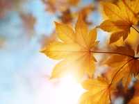 Гороскоп на 6 сентября 2021 года для всех знаков зодиака