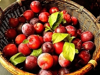 Что приготовить из алычи: 5 интересных рецептов