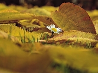 Гороскоп на 7 сентября 2021 года для всех знаков зодиака