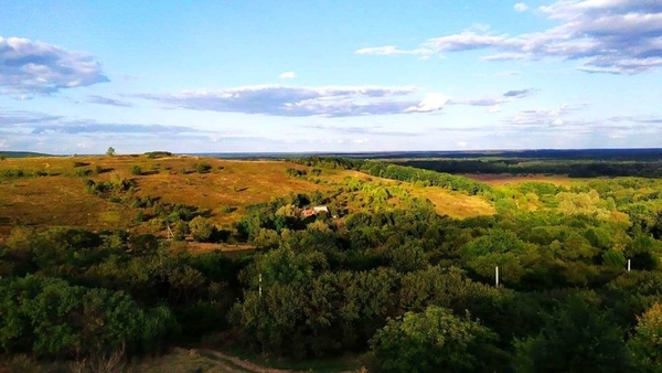 Опошня СливаФест: чем угощали гостей и что интересного можно увидеть на Полтавщине
