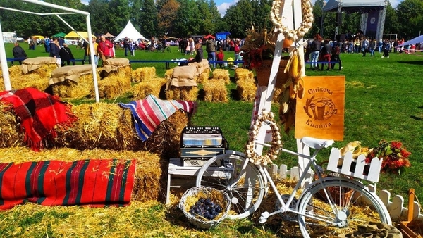 Опошня СливаФест: чем угощали гостей и что интересного можно увидеть на Полтавщине