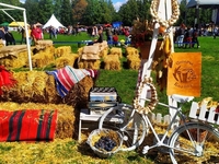 Опошня СливаФест: чем угощали гостей и что интересного можно увидеть на Полтавщине