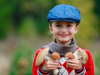 Грибной сезон: ТОП-7 приложений для грибников