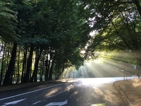 Всемирный день без автомобиля 22 сентября