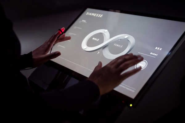 «30 лет Свободы» - тема первой Украинской Биеннале Цифрового и Медиа Искусства