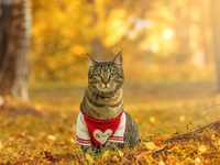 Гороскоп на 4 октября 2021 года для всех знаков зодиака