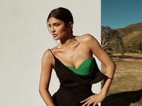 Особняк миллиардерши Кайли Дженнер пытались взорвать