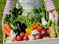 Календарь огородника на октябрь 2021