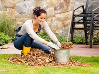 Как подготовить сад к зиме