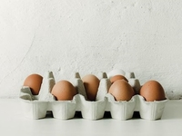 Всемирный день яйца: чему научила нас эволюция и как приготовить идеальное яйцо