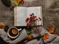 Выходные в ноябре 2021: сколько будем отдыхать в последний месяц осени